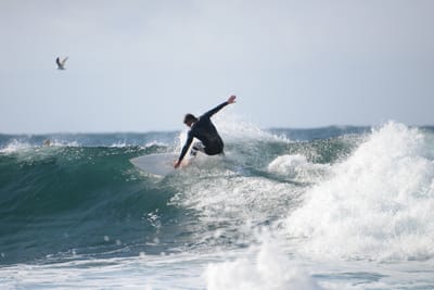 DSC_8807.JPG