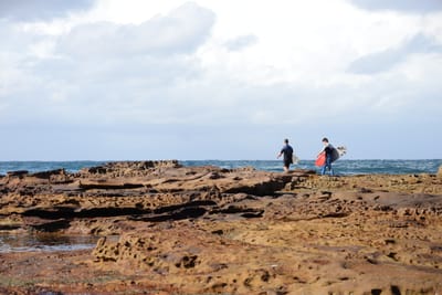 DSC_8823.JPG