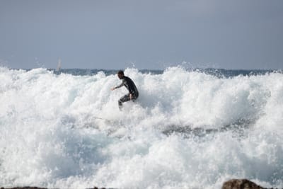 DSC_8831.JPG