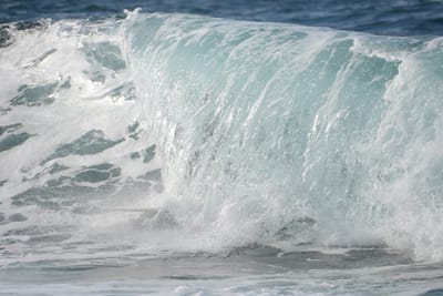 DSC_8867.JPG