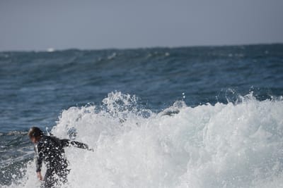 DSC_8869.JPG