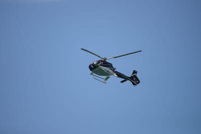 DSC_7238.JPG