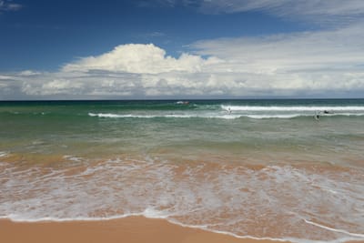 DSC_7262.JPG