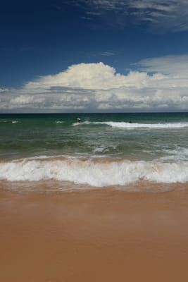DSC_7263.JPG