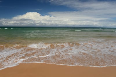 DSC_7264.JPG
