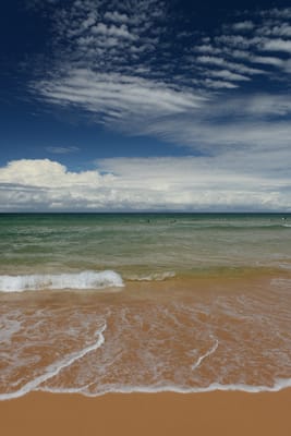 DSC_7266.JPG