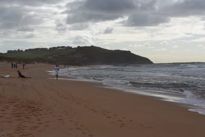 e DSC_0190_1.jpg
