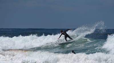 e DSC_0236_1.jpg