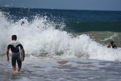 e DSC_0309_1.jpg