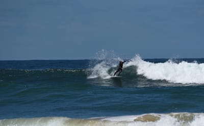 e DSC_0311_1.jpg