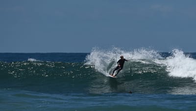 e DSC_0312_1.jpg