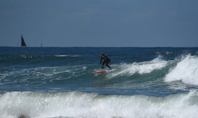 e DSC_0333_1.jpg