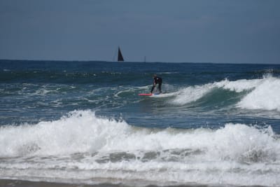 e DSC_0334_1.jpg