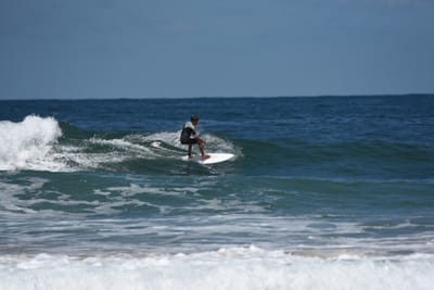 e DSC_0340_1.jpg