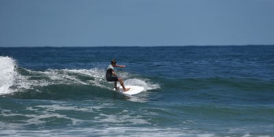 e DSC_0341_1.jpg
