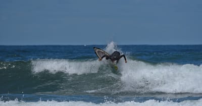 e DSC_0381_1.jpg