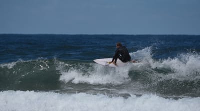 e DSC_0398_1.jpg