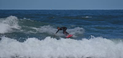 e DSC_0403_1.jpg