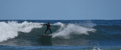 e DSC_0419_1.jpg