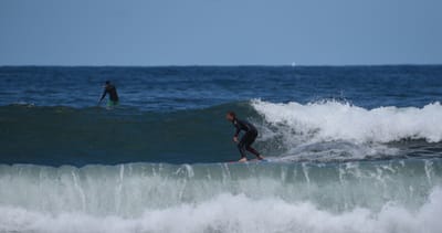 e DSC_0513_1.jpg