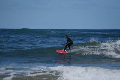 e DSC_0520_1.jpg