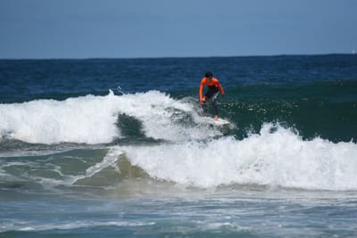 e DSC_0764_1.jpg