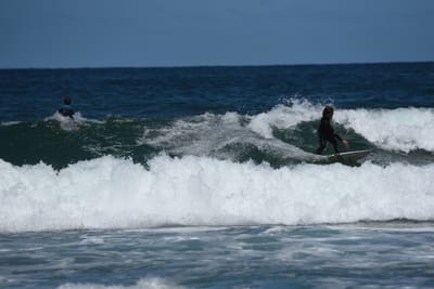 e DSC_0778_1.jpg