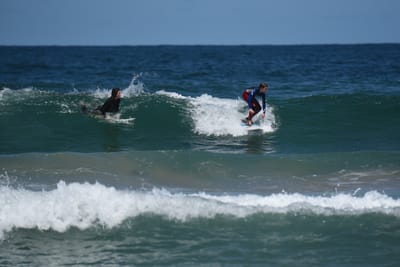 e DSC_0786_1.jpg