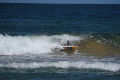 e DSC_0791_1.jpg
