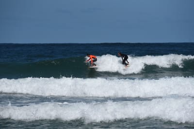 e DSC_0802_1.jpg
