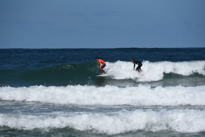 e DSC_0803_1.jpg