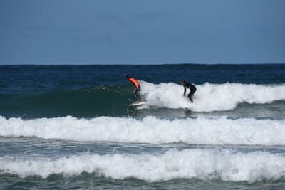 e DSC_0804_1.jpg