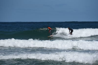 e DSC_0805_1.jpg