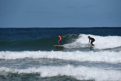 e DSC_0806_1.jpg