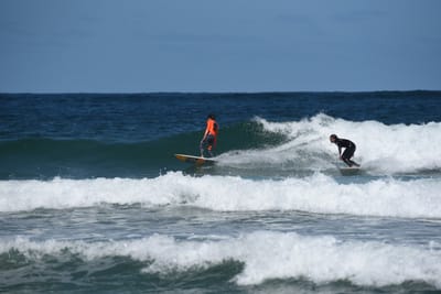 e DSC_0807_1.jpg