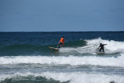 e DSC_0808_1.jpg
