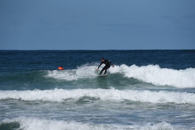 e DSC_0809_1.jpg