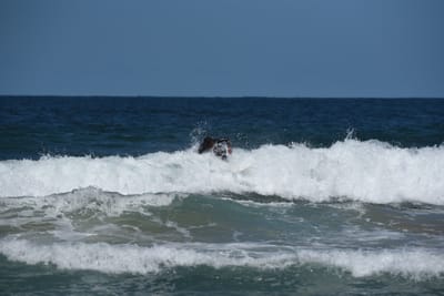 e DSC_0811_1.jpg