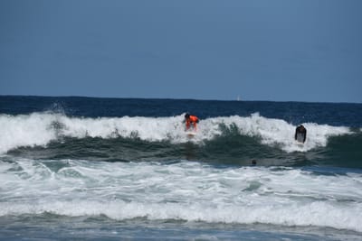 e DSC_0814_1.jpg