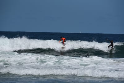 e DSC_0815_1.jpg
