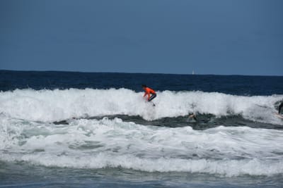 e DSC_0816_1.jpg