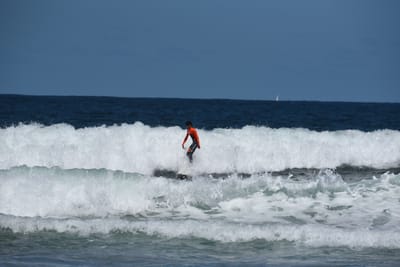 e DSC_0817_1.jpg