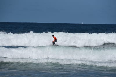 e DSC_0818_1.jpg