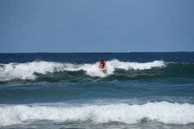 e DSC_0852_1.jpg