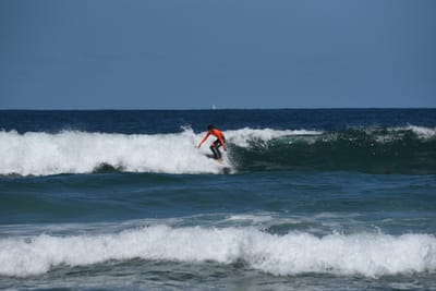 e DSC_0855_1.jpg
