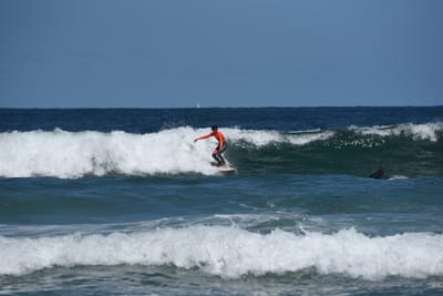 e DSC_0856_1.jpg