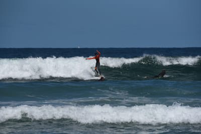 e DSC_0857_1.jpg