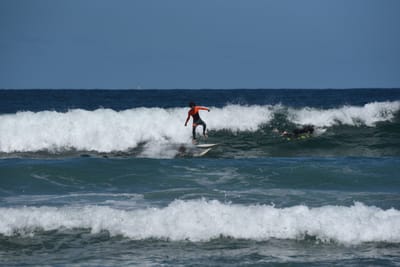 e DSC_0858_1.jpg