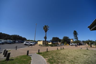 e DSC_0875_1.jpg