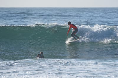 e DSC_1142.jpg